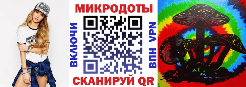 Галлюциногенные грибы Psilocybe Макаров